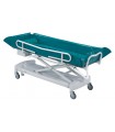 Carro de Lavado Hidráulico Elevable (155 kg)