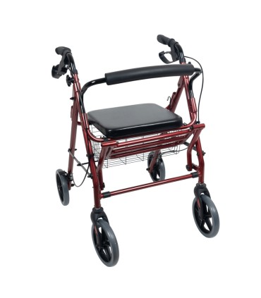 Andador y Carrito de Compra con Asiento | Diseño Seguro y Discreto