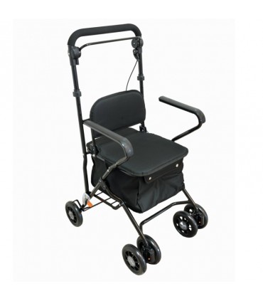 carro de compra