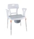 silla con inodoro