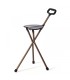 BASTON CON ASIENTO