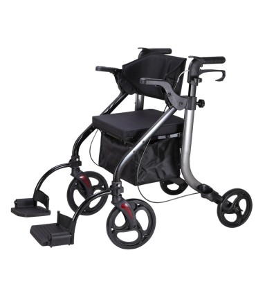 ANDADOR 2 EN 1