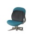 Cojin lumbar ortopedico